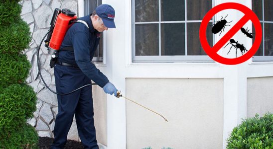 Gemerek Akrep İlaçlama böcek ilaçlama ve haşere kontrolü — ilaclama-tr.com